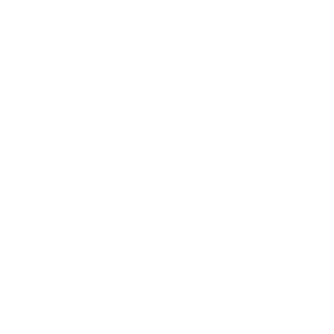 SUNS logo