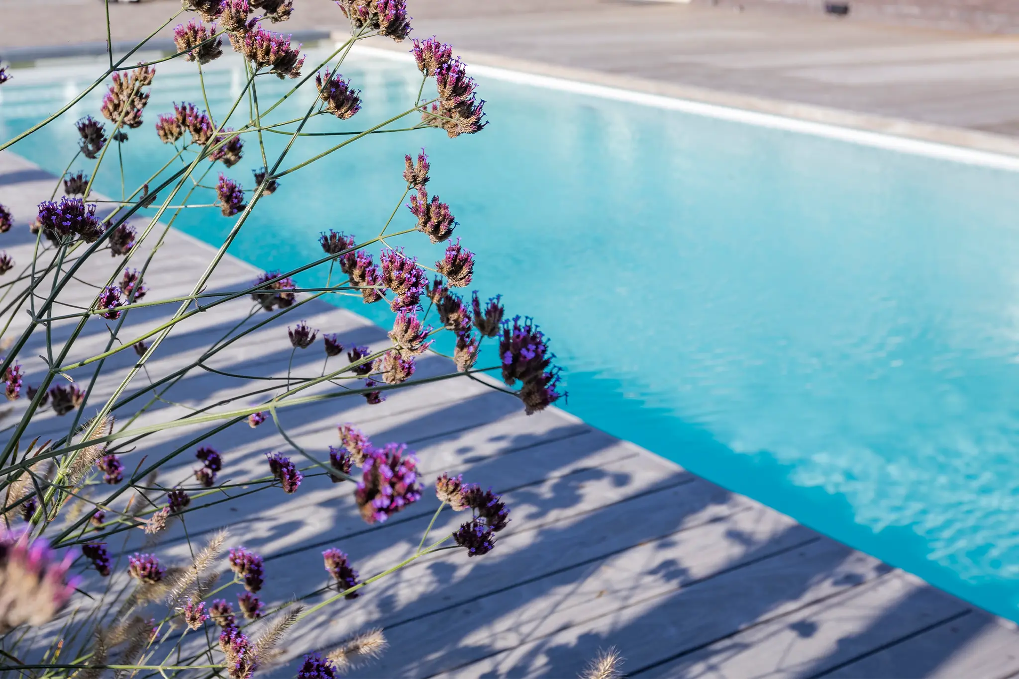 Gedetailleerd tuinontwerp in aanbouw met bestrating en aanleg voor waterpartijen.